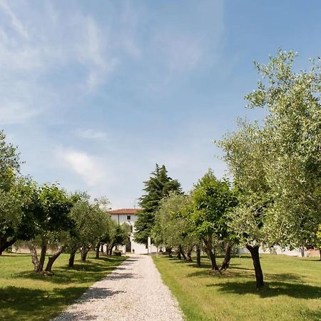 Bilo Garden Agriturismo Teboi Apartment Lazise Exterior photo