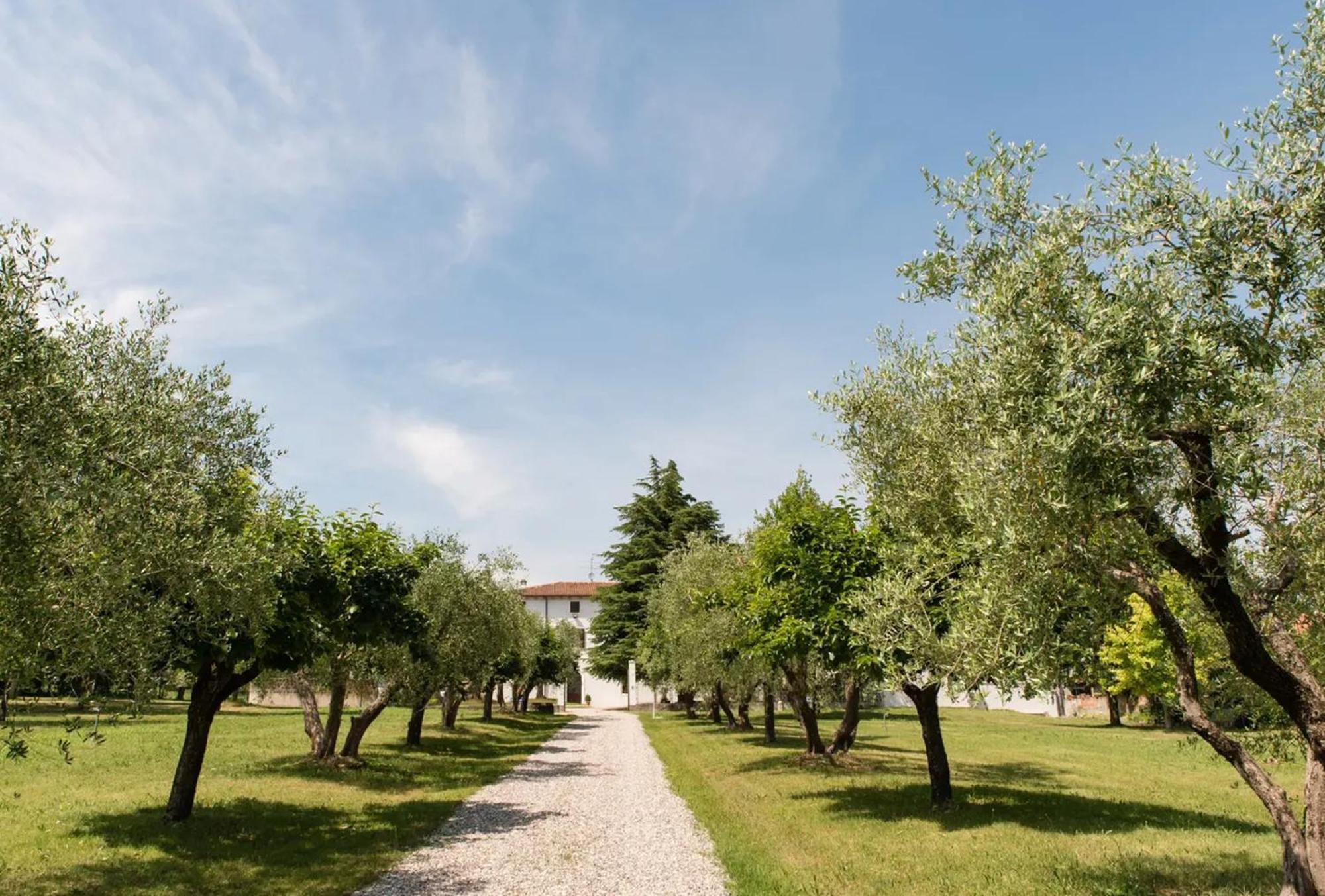 Bilo Garden Agriturismo Teboi Apartment Lazise Exterior photo